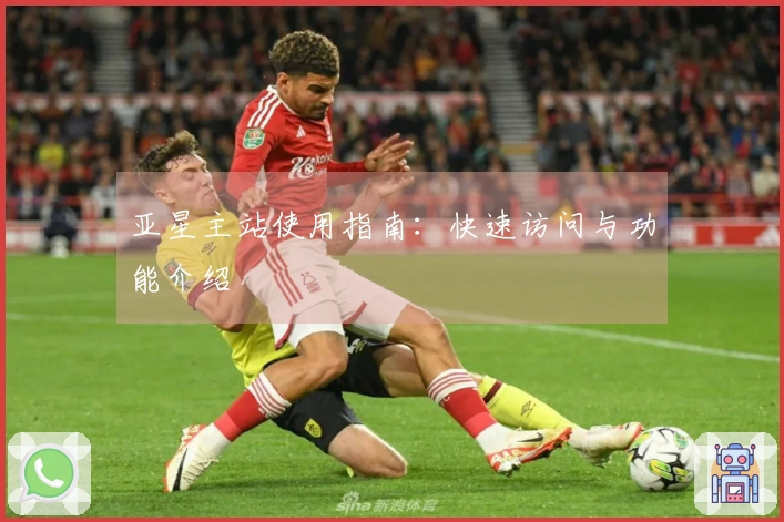 亚星主站使用指南：快速访问与功能介绍