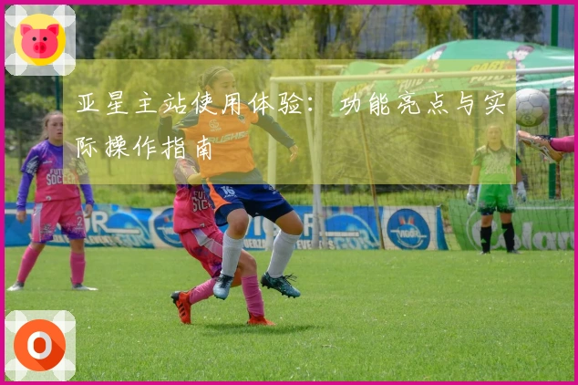 亚星主站使用体验:功能亮点与实际操作指南