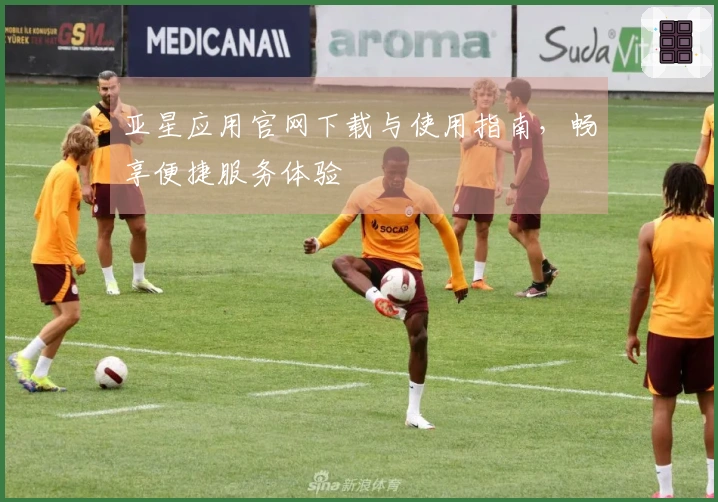 亚星应用官网下载与使用指南，畅享便捷服务体验